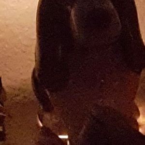 Meet your Posher, Jose d